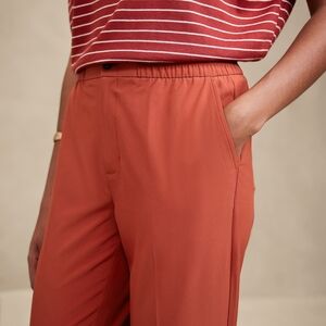 Banana Republic Airstretch Tapered Pant In Ember